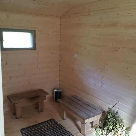 Domek alpejski Venekoski Jyväskylä